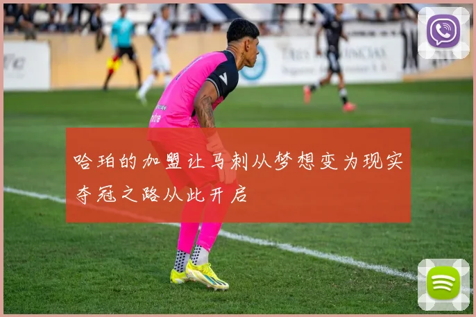 哈珀的加盟让马刺从梦想变为现实夺冠之路从此开启