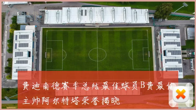 费迪南德赛季总结最佳球员B费最佳主帅阿尔特塔荣誉揭晓